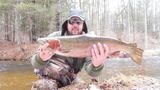 Trouty 1 review photo