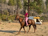 Cowgirl Capable, LLC review photo