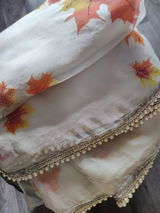 Isheeta review photo