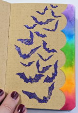 Cassi D. review photo