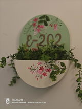 Sohini review photo