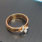 R.S. review photo