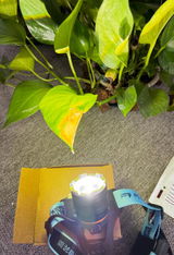 Krisztina S. review photo