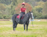 Lisa Inglis review photo