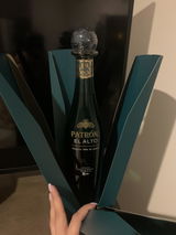 Guillermina V.A. review photo