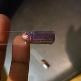 Z. review photo