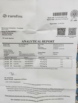Ram review photo