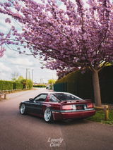 Lonely_Supra review photo