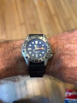 Carlton SPINKS review photo
