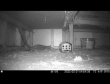 A.Z review photo