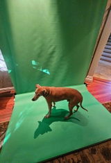 Jenny Redo review photo