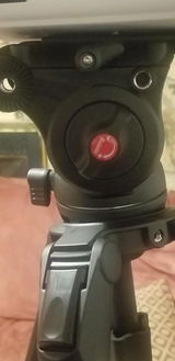 Shine-a-Vine review photo