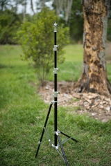 Canis review photo