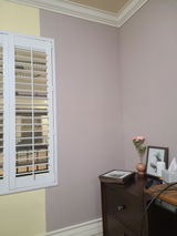 Y. review photo