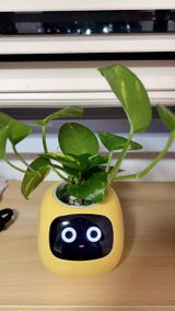 Heimo T. review photo