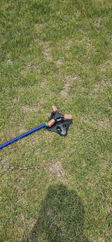 Anna R. review photo