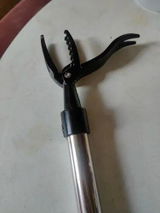 Michael P. review photo