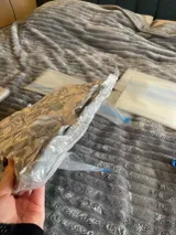 Noah Q. review photo