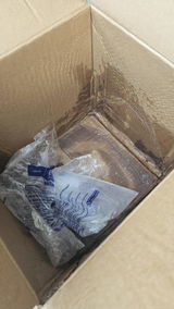 Paola C. review photo