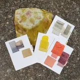 Amy Moutzouris review photo