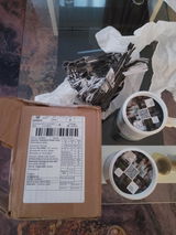 Georgiana Ochi-Albi review photo