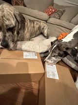 Gatsby &.D. review photo