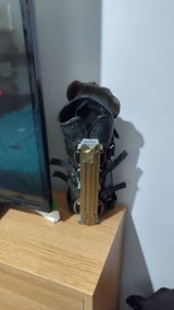 Lucio review photo