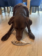 Milo review photo