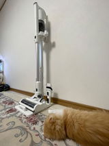 ねこまま review photo