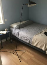 Lincoln Alvarez review photo