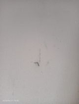 Edek review photo