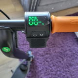 Alessandro review photo
