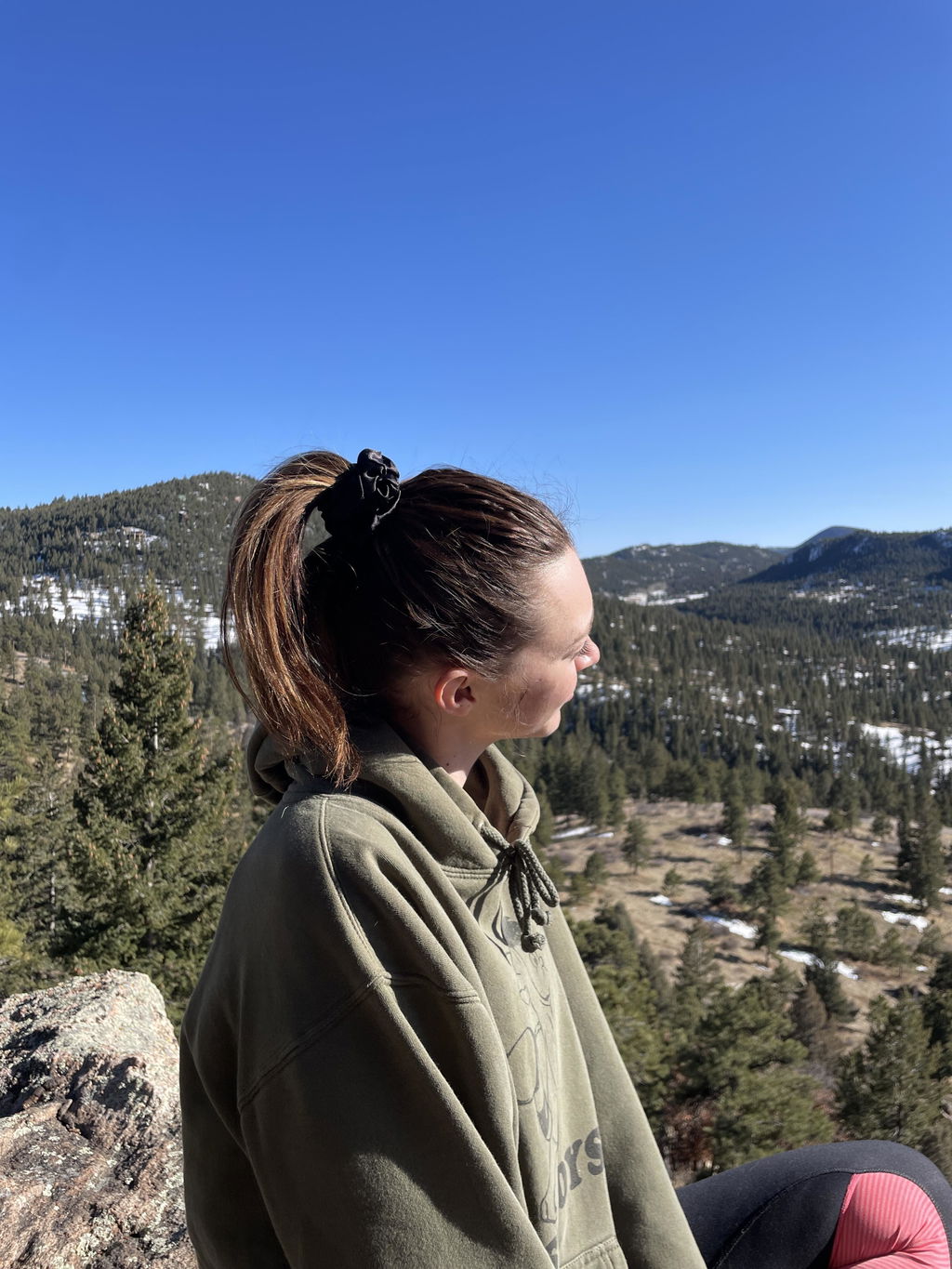 Buckle Scrunchie - Neutral Colors - No Snagging, No Tangles