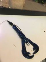 Claud review photo