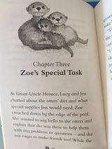 Annelize Ross review photo