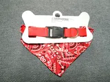 Johnnie Effertz review photo