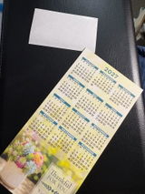 Stella review photo