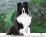 Sherry L. review photo