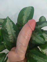 優菜 review photo