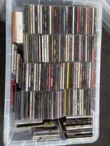 Kylesbiz review photo