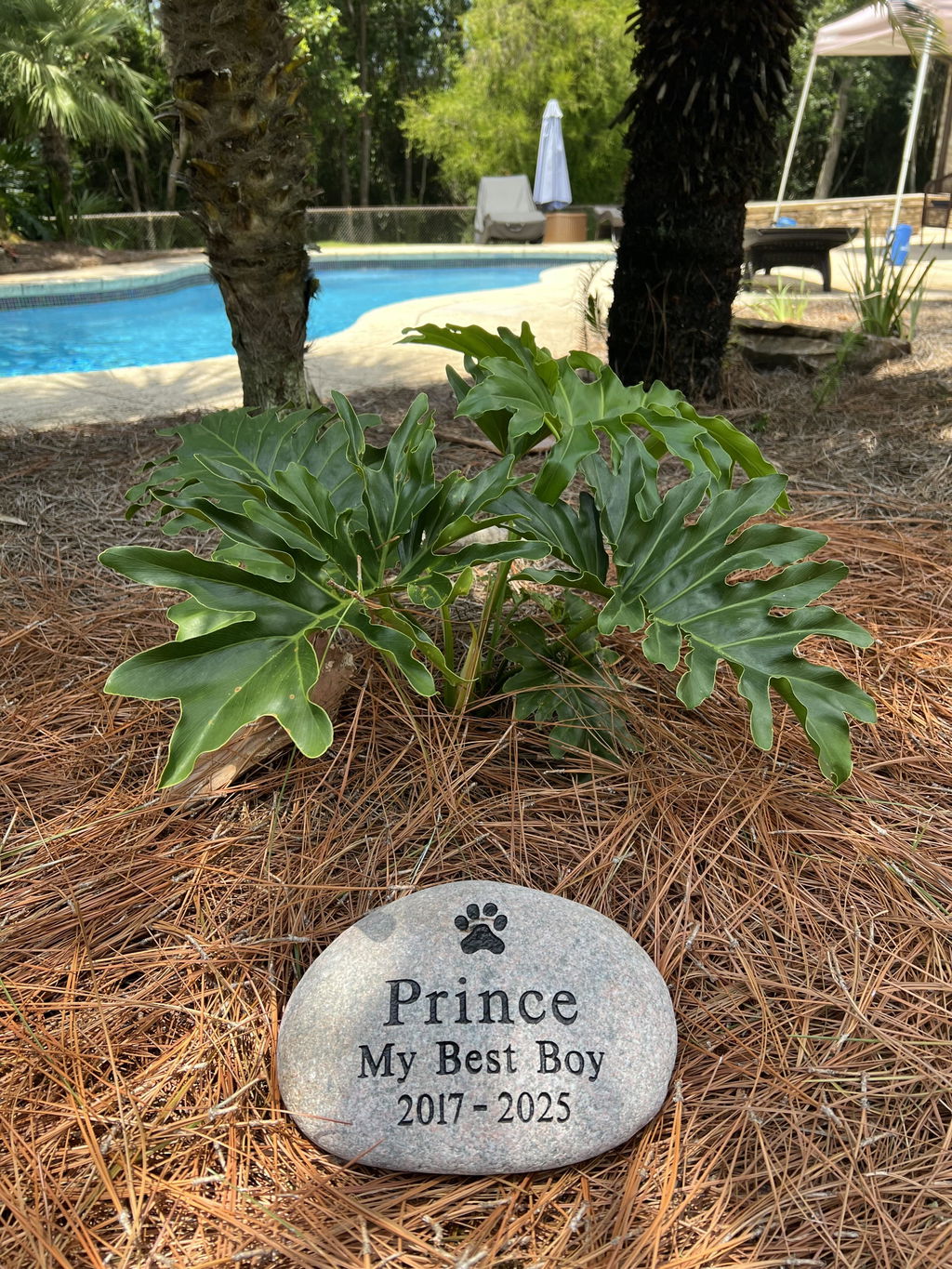 Large Pet Stone Memorial
