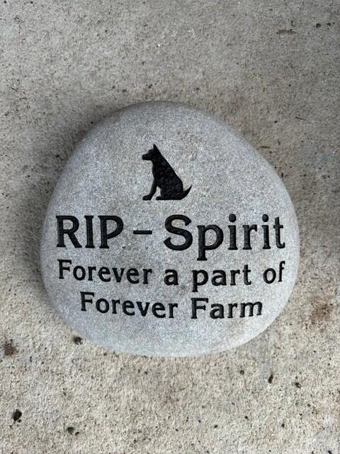 Large Pet Stone Memorial