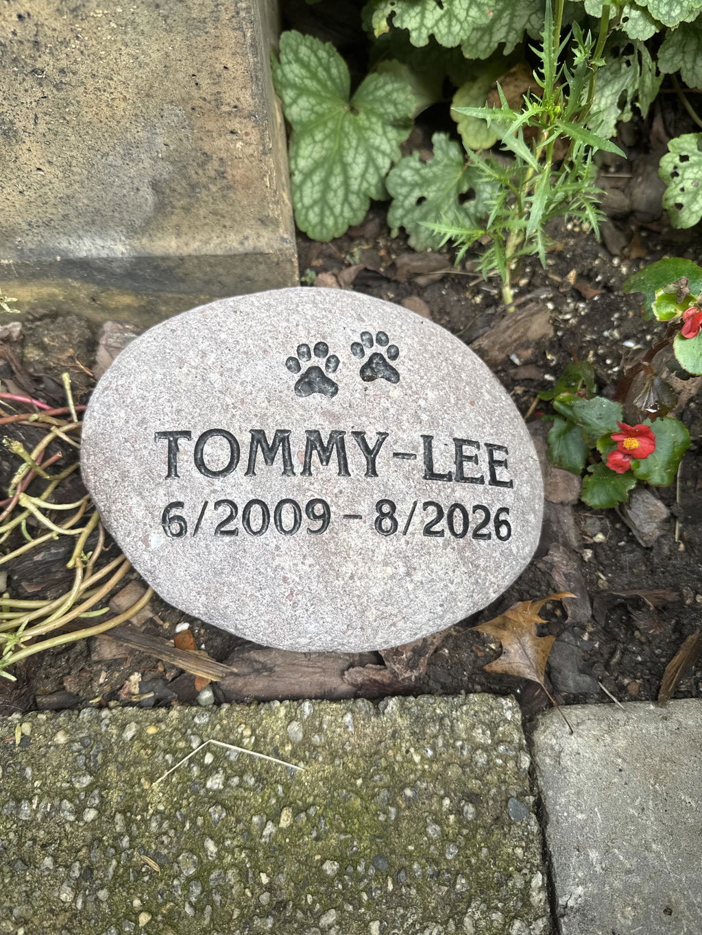 Medium Pet Stone Memorial