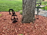 Sheryl review photo