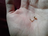 Lilyann C. review photo