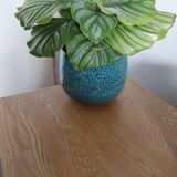 Bernita B review photo