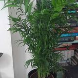 Lelah R review photo