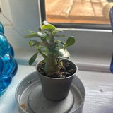 Yolanda R review photo