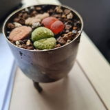 Paula H review photo
