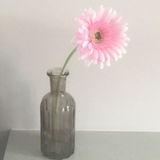 Taryn B review photo